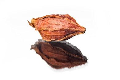 《女神异闻录5：战略版》评测：更适合P5粉丝体质的战棋游戏